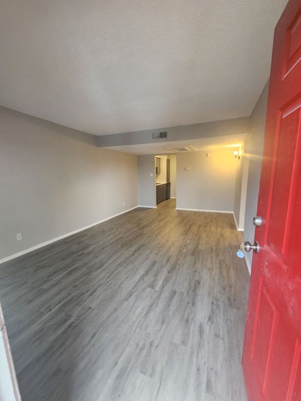 1650 Jackson Keller Road #217, the lead photograph of this apartment.